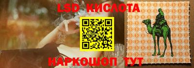 гашик Янаул