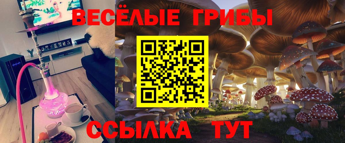 Псилоцибиновые грибы MAGIC MUSHROOMS Белогорск
