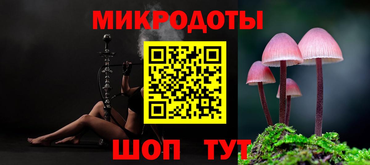 Псилоцибиновые грибы Psilocybe  Вход с VPN  Белогорск 